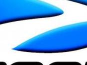 Dernières veillées bois 2010 jeudi novembre