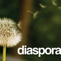 Diaspora, alternative crédible Facebook