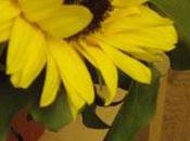 L'automne... saison avant Noël (danois