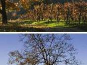 JCEM Dîner d'affaires thème Mieux connaître