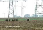 Accident chasse Drain mollet écrémé