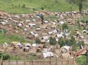 R??publique D??mocratique Congo Nord-Kivu crise humanitaire comparable celle Darfour