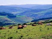 Vallée Lot, terre nourricière Lozère.