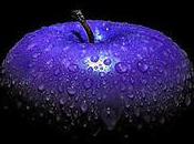 thèmes Noël spring' votre iPhone...