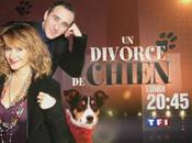 divorce chien avec Elie Semoun soir bande annonce