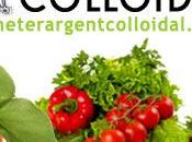 L’argent Colloidal Plantes