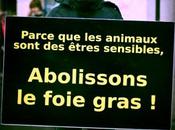 Rassemblement pour l'Abolition Foie gras. Paris, Rivoli.