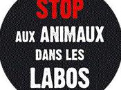 Avril 2011 Semaine Mondiale pour libération "Animaux Laboratoire"