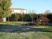 décembre 2010, cadeau Noël pour oiseaux...