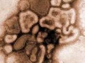 Mémé Kamizole fond lit, terrassée grippe… H1N1