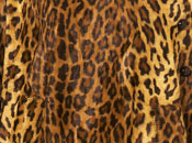 cape léopard Topshop pour hiver