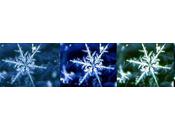 °mousse, perle, calque lumière°