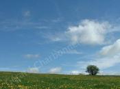 planèze cantalienne Cantal