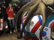 mémorial l’honneur Paul poulpe