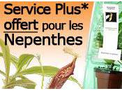 Boutique Karnivores Service Plus offert pour Nepenthes