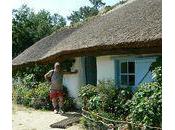 bourrine bois Juquaud (Vendée)