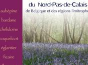 Plantes médicinales Nord-Pas-De-Calais, Belgique régions limitrophes