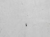 Annie Vigier/Franck Apertet, X-Event confusion sentiments