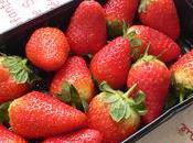Premières fraises saison