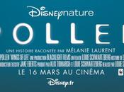 Pollen nouveau film Disney voici bande-annonce l'affiche