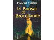 Bonsaï Brocéliande