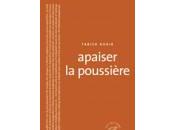 propos d'Apaiser poussière, Tabish Khair (Editions Sonneur)