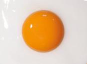 Corps Mince Françoise: Love Nature Album Streaming