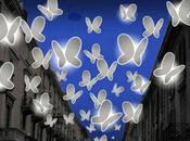 Illuminations papillons