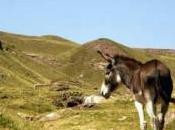 Partir randonnée avec