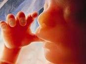 Politique: Avortement Stephen Harper