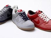 Nike Sportswear Dunk “FFF”
