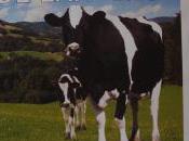 automatique supermarché, février 2011