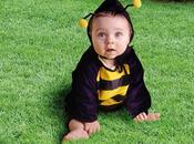 Apprenons nous passer pesticides