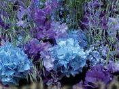 Aujourd'hui fête mondiale Femme: Femme