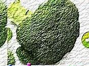 Velouté brocolis purée noisettes