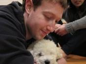 chien Mark Zuckerberg désormais page Facebook