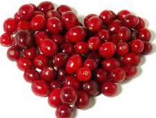 Bienfaits cranberry