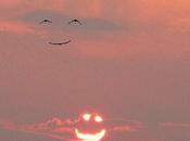 Voici photo buzze Japon