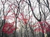 geste pour peuple japonais