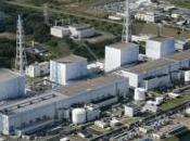 Fukushima l’exemple l’arrogance