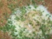 Oeuf poché sons Mimi