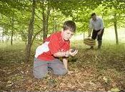 Blog Création Monétaire collection perles certifiées revenu d'existence