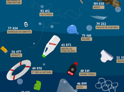 Infographie poubelle édition 2011