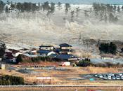 Aider survivants tsunami Japon