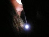 Nouvelle cuisine Jean-Pierre Bonomo, Ceci corps (festival Faits d'hiver)