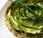 Tartelettes matcha courgettes comme fleurs, pour déguster vert version salée
