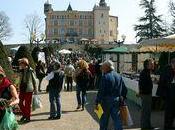 Foire plantes rares Priest