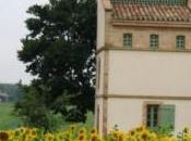 Midi-Pyrénées pigeonnier parmis tournesols