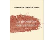Géométrie variables, Mamadou Mahmoud N'Dongo