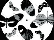 Vinyl Johanna Knutsson Heavy baby